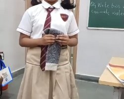Std II August 2024 Activities